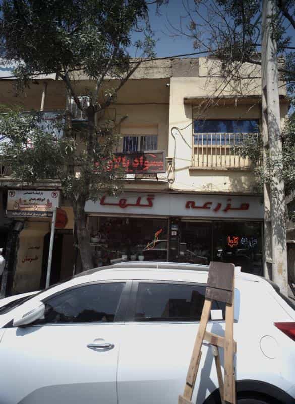 عکس مزرعه گلها در شوش