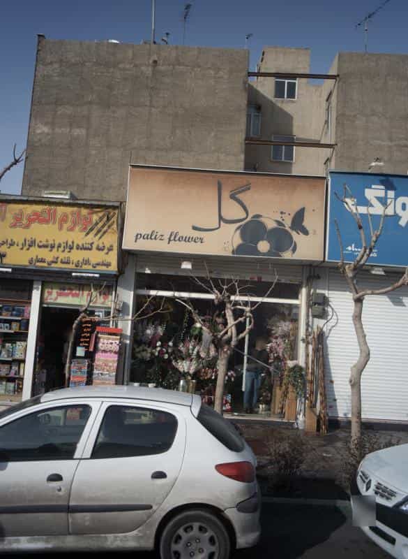 عکس گل پالیز در باشگاه نفت