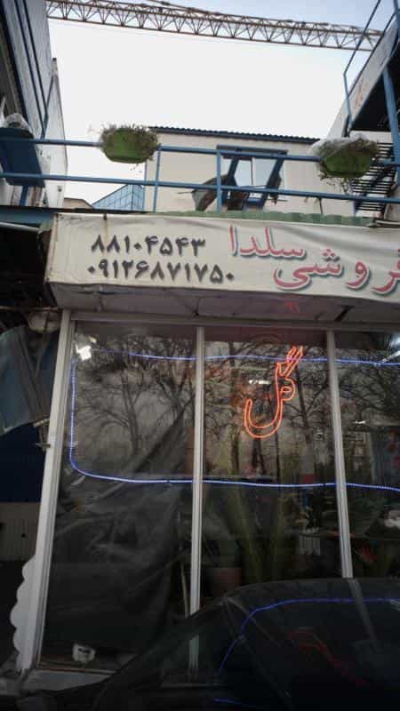 عکس گل فروشی سلدا در آرژانتین