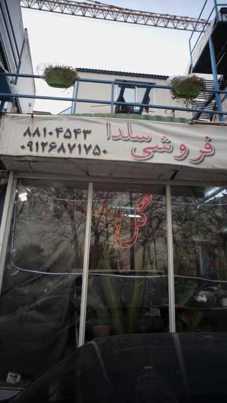 عکس گل فروشی سلدا در آرژانتین