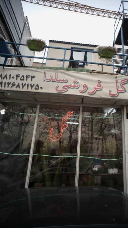 عکس گل فروشی سلدا در آرژانتین