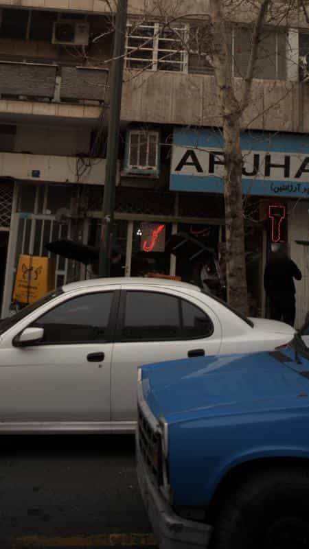 عکس گل زیبا در آرژانتین