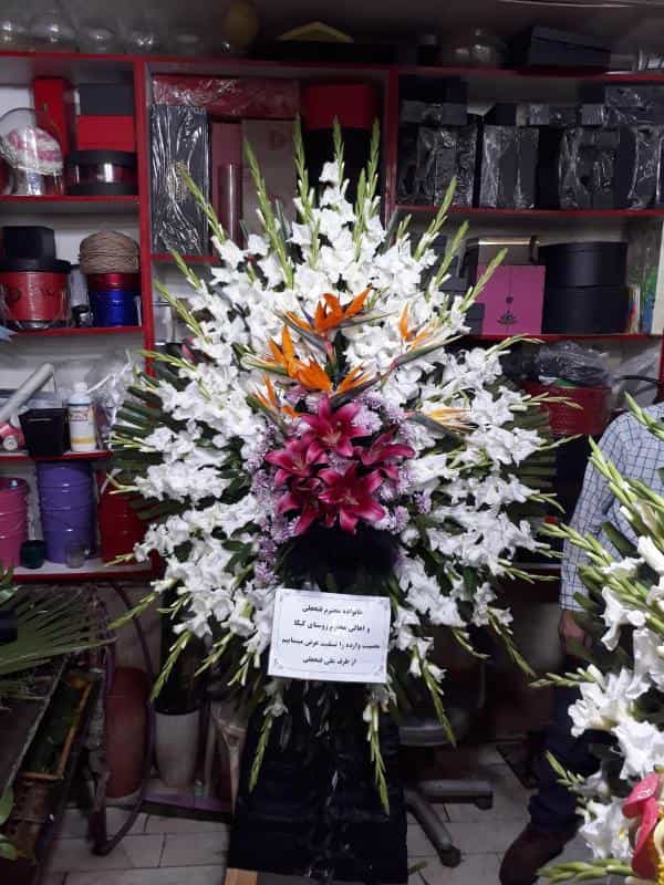 عکس گل آنلاین ترخون در کوهک