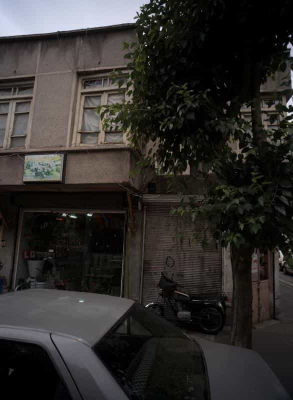 عکس گل فروشی گل سی گل در گمرک