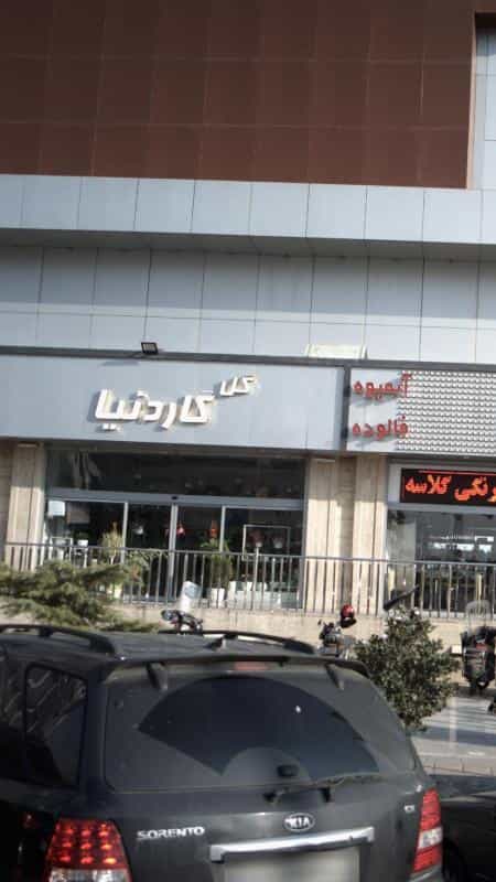 عکس گل گاردنیا در هوانیروز