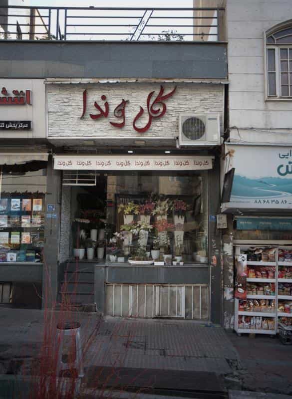 عکس گل وندا در دریا