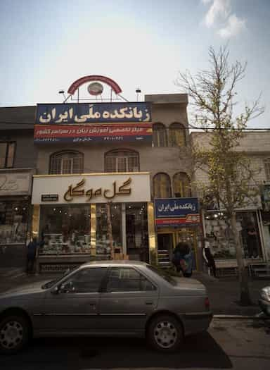 گل موگه در حکیمیه