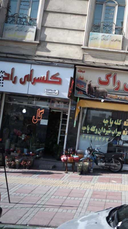 عکس گلسرای راد در جنت آباد مرکزی