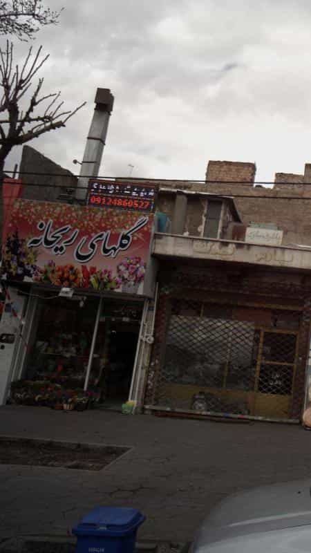 عکس گلهای ریحانه در شمیران نو