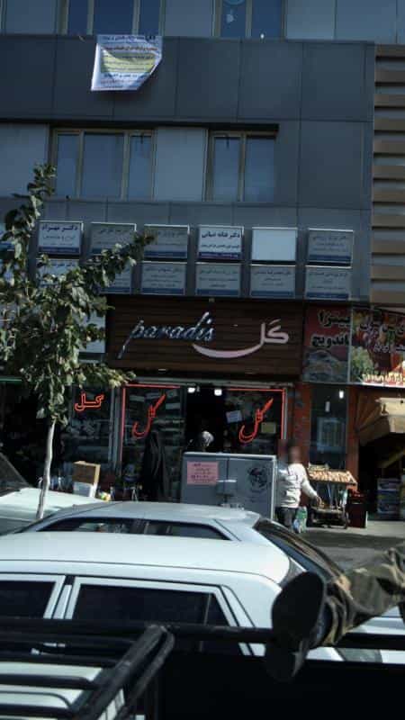 عکس نان فانتزی گل افشان در خلیج فارس شمالی