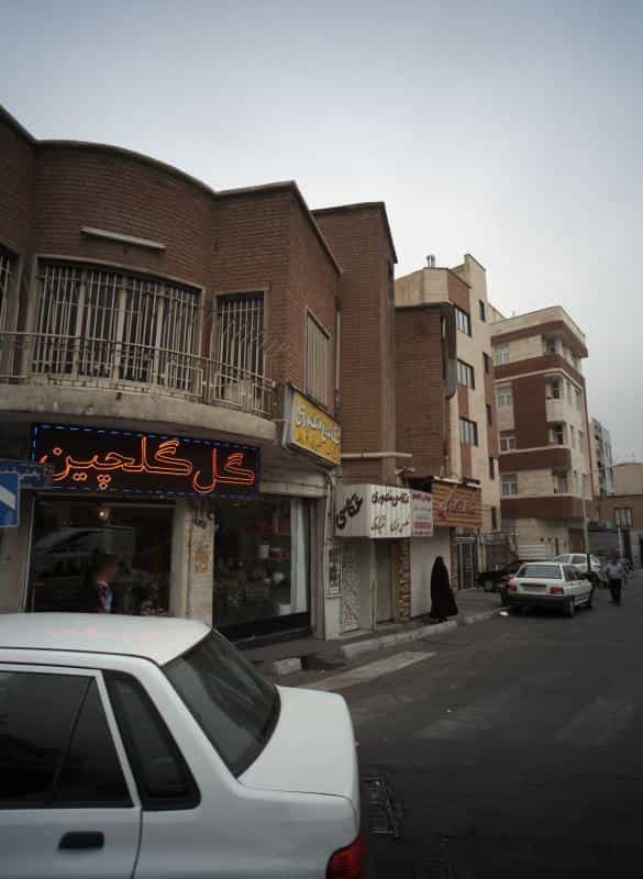 عکس گل گلچین در نظام آباد