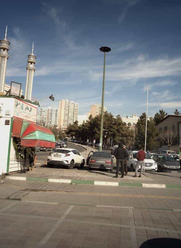 عکس گل مادر در شهرک غرب