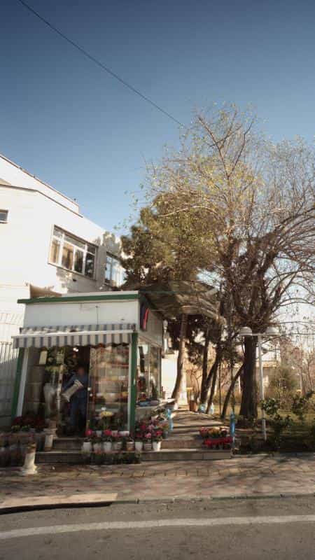 عکس گل فروشی در ونک