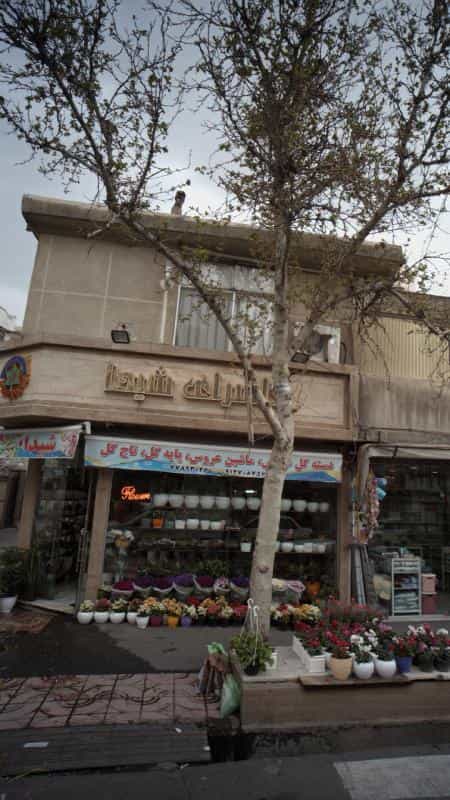 عکس گل سرای شیدا در نارمک