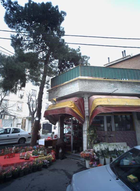 عکس گل فروشی عروس در شورا