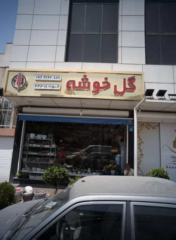 عکس گل خوشه در شکوفه