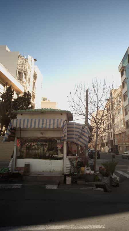 عکس گلفروشی در ونک