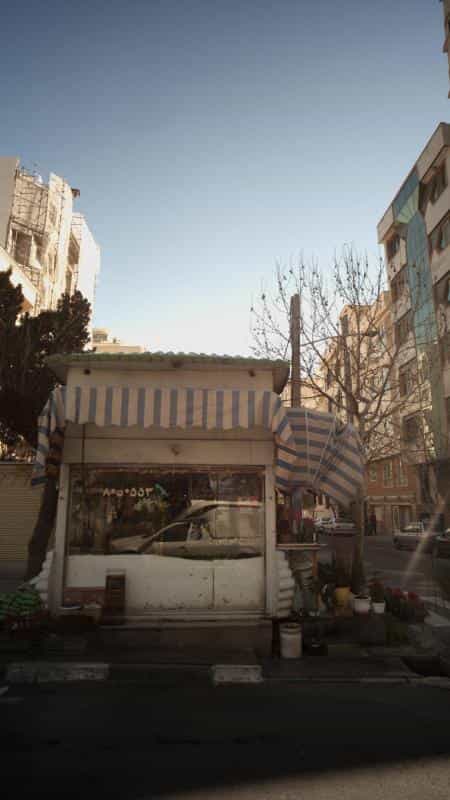 عکس گلفروشی در ونک