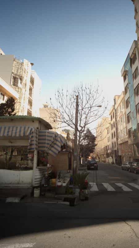 عکس گلفروشی در ونک