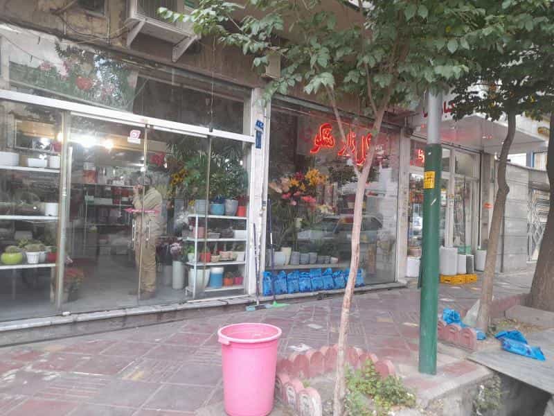 عکس گلزار شکوفه