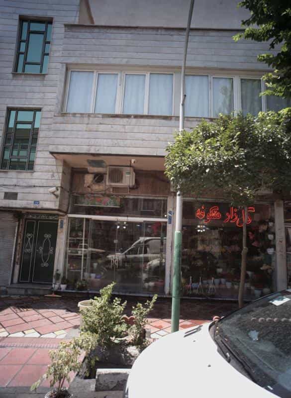 عکس گلزار شکوفه