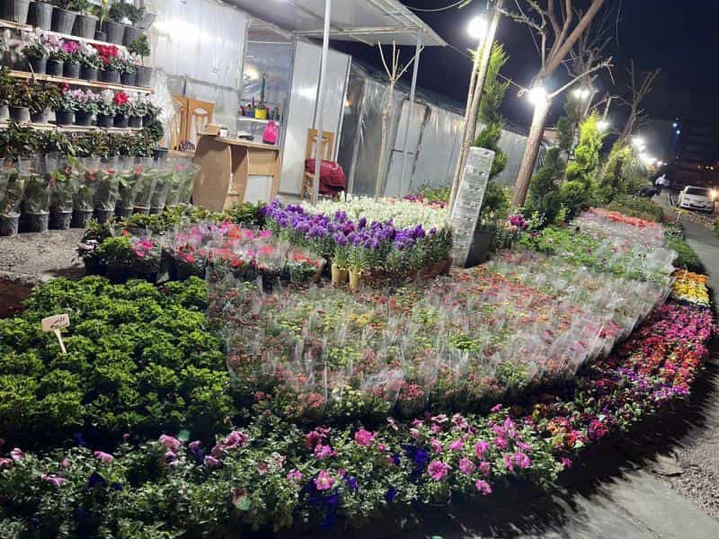عکس باغ گل وگیاه سادات در صادقیه