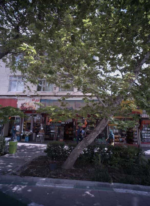 عکس گلستان بهشت در مدائن