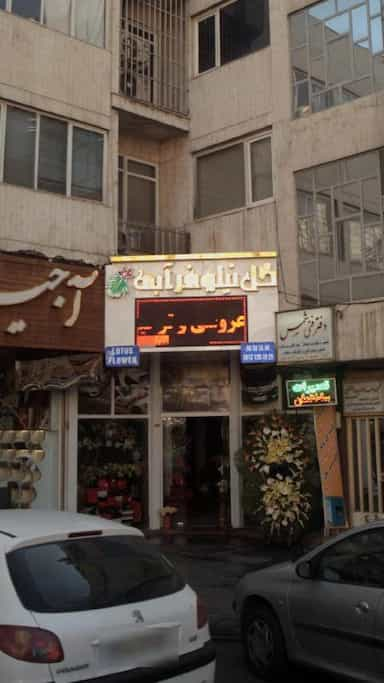 گل نیلوفر آبی