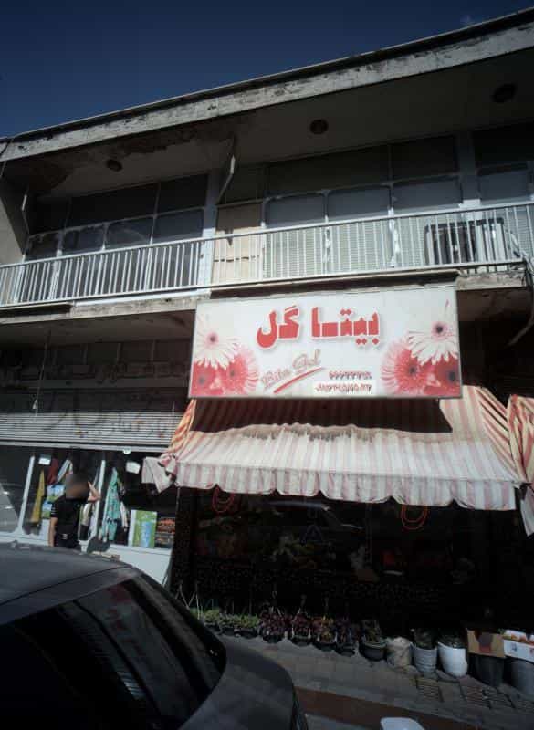 عکس بیتا گل در فردوس