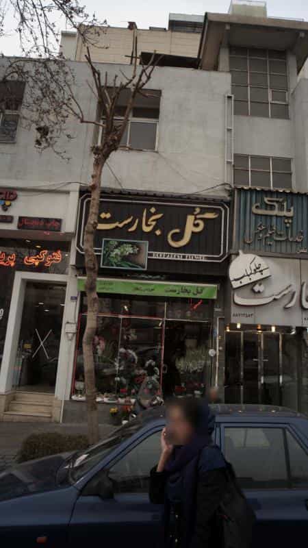 عکس گل و چلوکبابی بخارست در آرژانتین