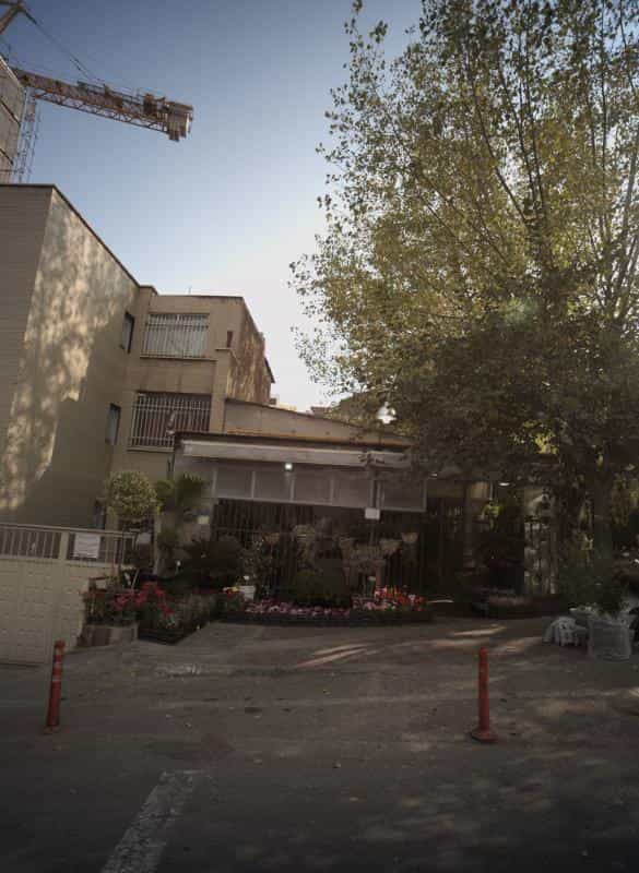 عکس فروشگاه گل و گیاه در گاندی