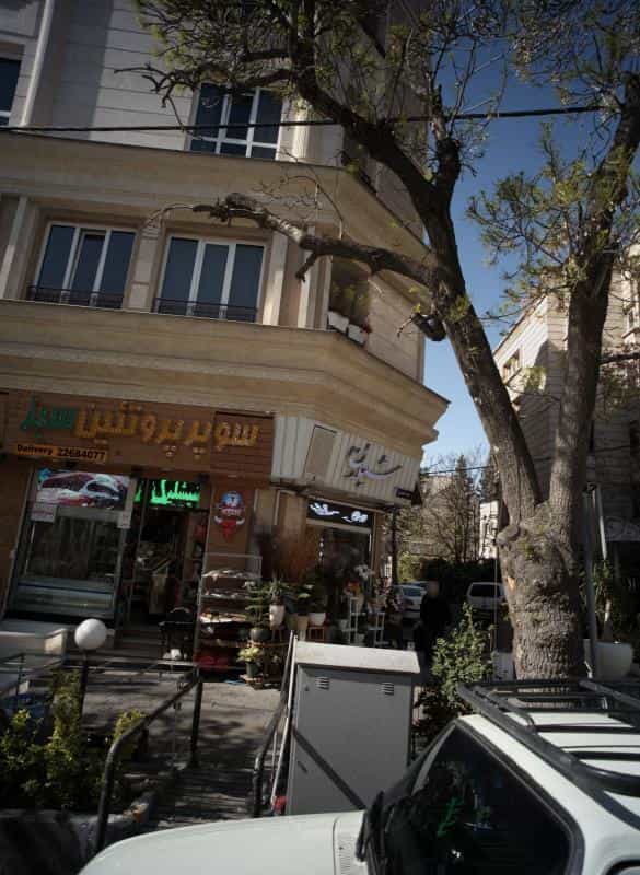 عکس گلفروشی شیلان در حکمت