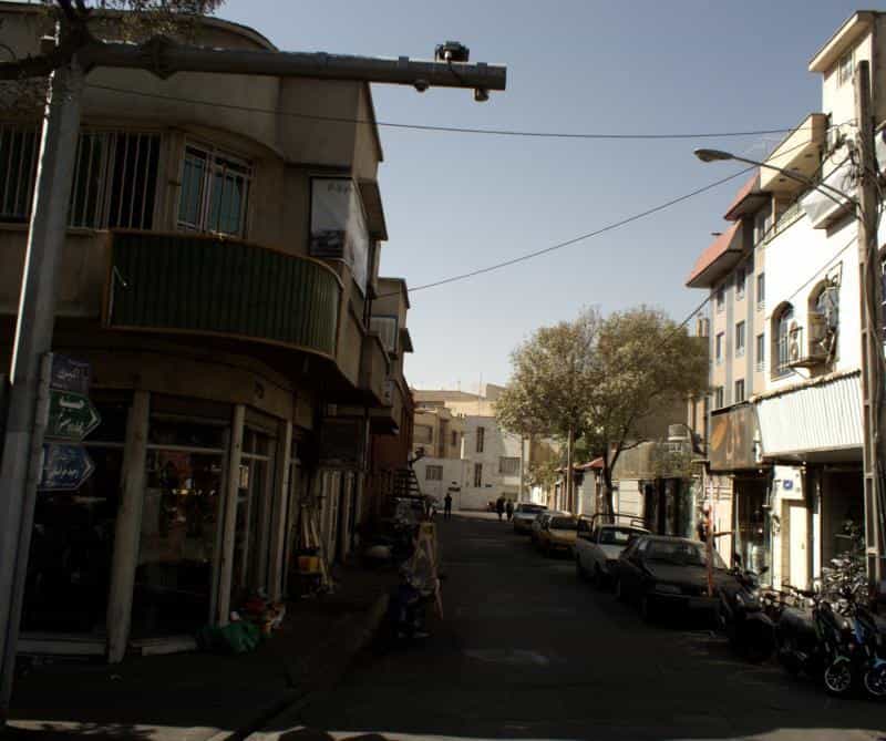 عکس گل گلشن در آبشار