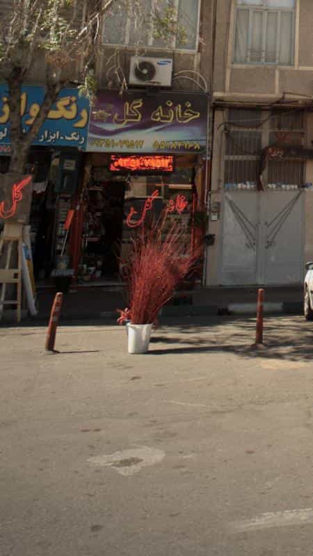 عکس خانه گل در خزانه