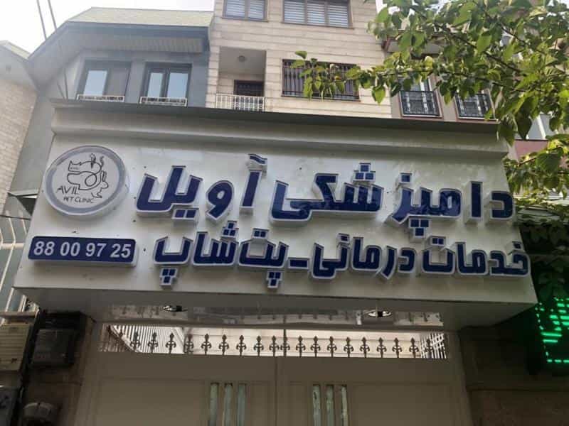 عکس کلینیک دامپزشکی آویل در فاطمی
