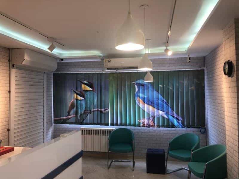 عکس کلینیک دامپزشکی آویل در فاطمی