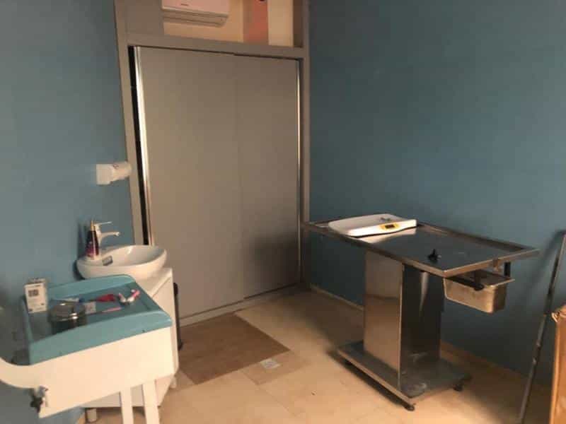 عکس کلینیک دامپزشکی آویل در فاطمی