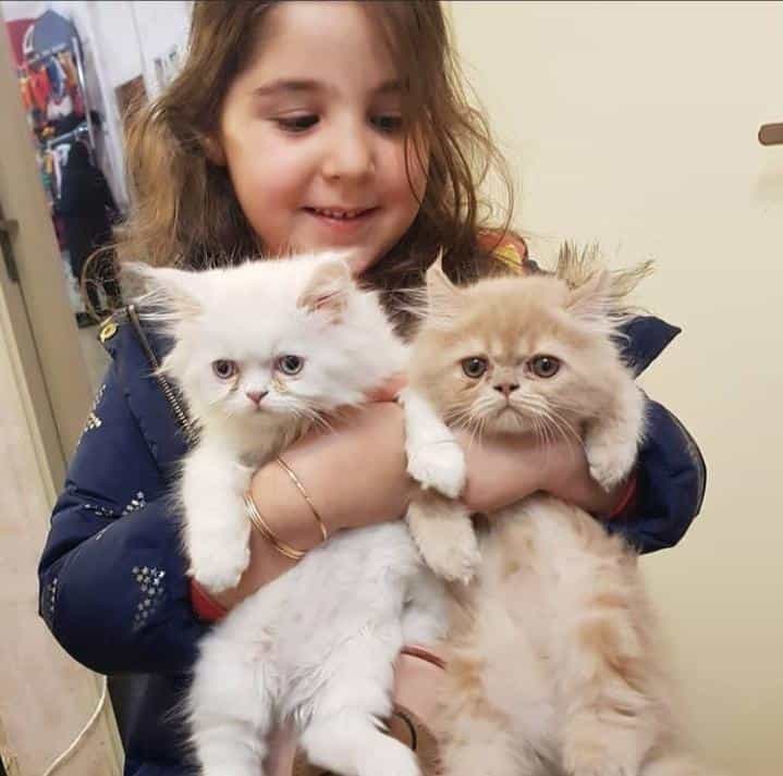 عکس کلینیک دامپزشکی پارس دکتر هومن بیات در تهرانپارس غربی