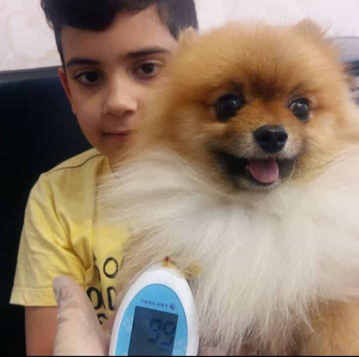 عکس کلینیک دامپزشکی پارس دکتر هومن بیات در تهرانپارس غربی