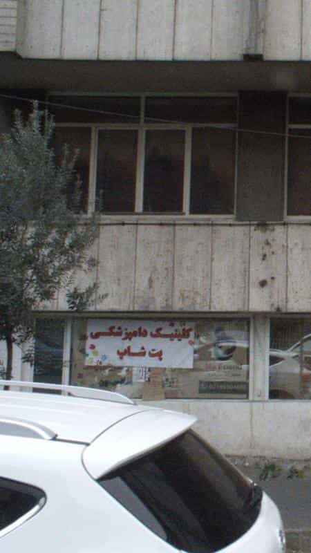 عکس کلینیک دامپزشکی پت شاپ در توحید