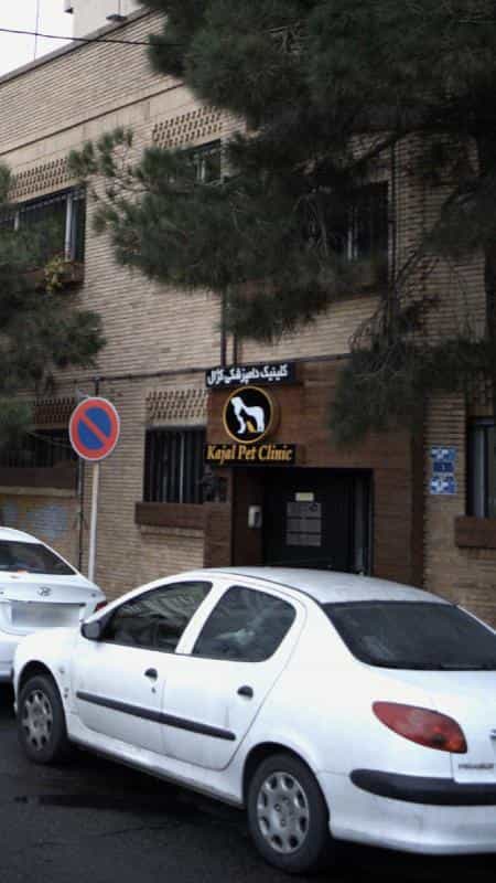 عکس کلینیک دامپزشکی دکتر رحیمی پور در مجیدیه