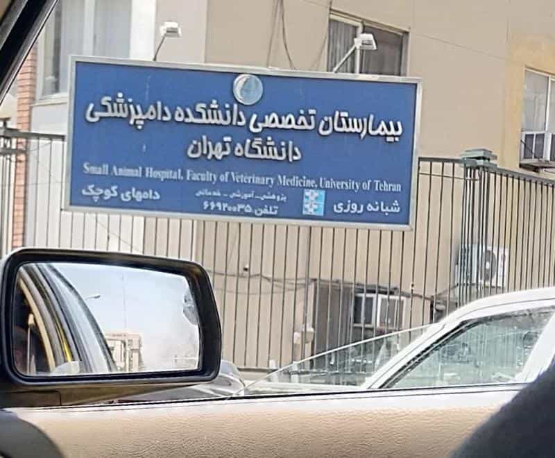 عکس بیمارستان تخصصی دانشکده دامپزشکی - دام‌های کوچک در نصرت