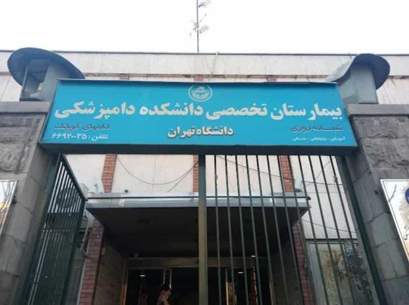 عکس بیمارستان تخصصی دانشکده دامپزشکی - دام‌های کوچک در نصرت