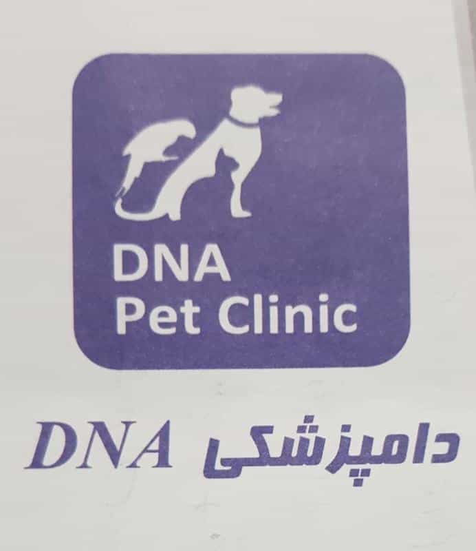 عکس کلینیک دامپزشکی DNA در پرواز