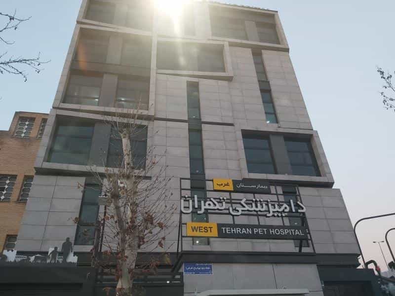 عکس بیمارستان دامپزشکی تهران در جنت آباد جنوبی