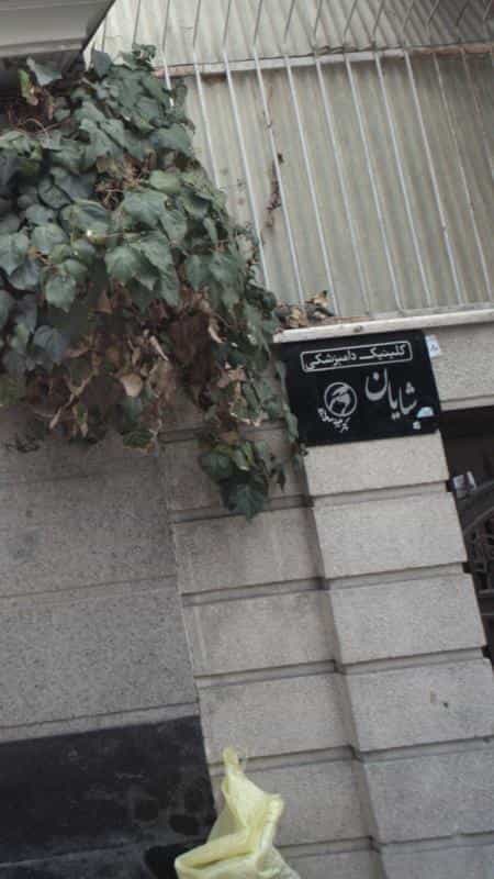 عکس کلینیک دامپزشکی شایان در زعفرانیه