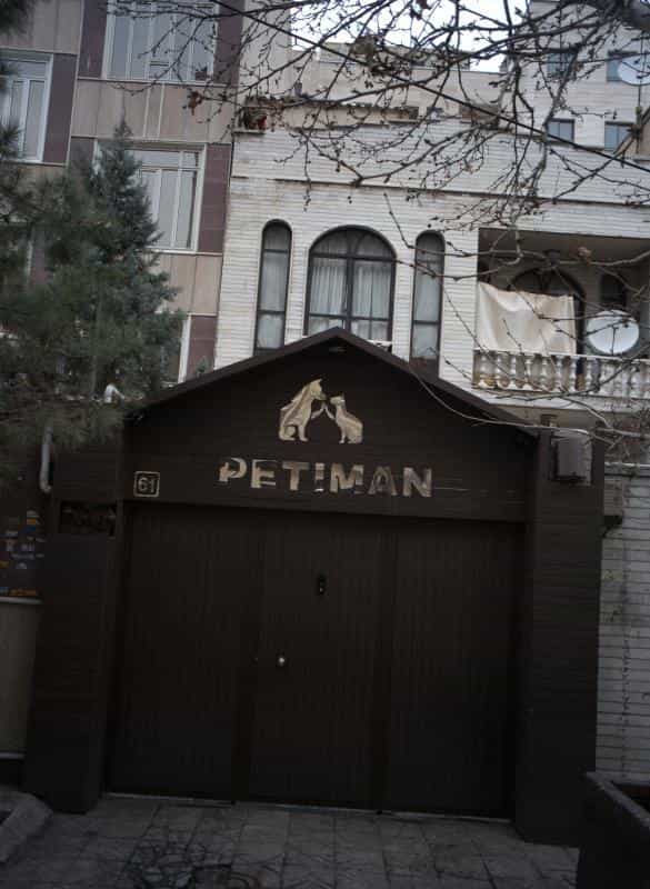 عکس کلینیک دامپزشکی پتی مان در دریا