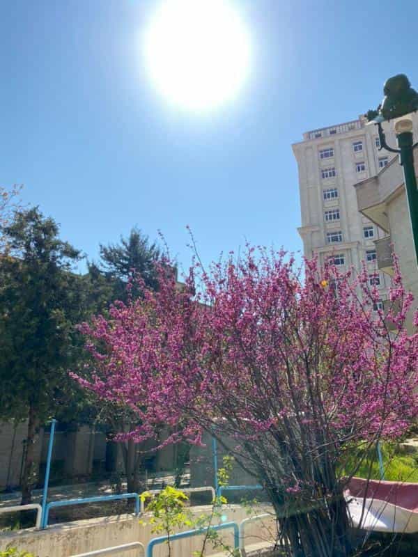 عکس دانشکده پرستاری و مامایی دانشگاه شهید بهشتی در ظفر