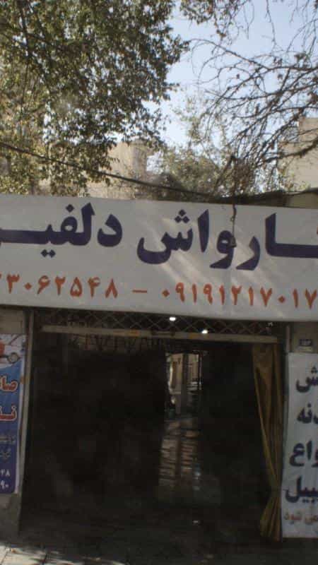 عکس کارواش دلفین در شاهد