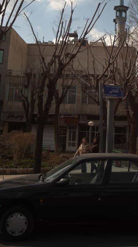 عکس قالیشویی پیروزی در نیرو هوایی